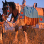 Troškovi života u Dubaiju