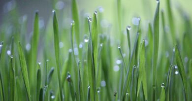 Zoranu Zovki dijagnostikovani dijabetes i visok pritisak: Uz promenu ishrane izgubio 20 kilograma za tri meseca