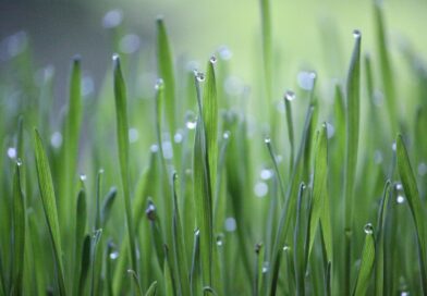 Zoranu Zovki dijagnostikovani dijabetes i visok pritisak: Uz promenu ishrane izgubio 20 kilograma za tri meseca