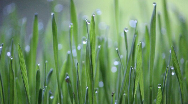 Zoranu Zovki dijagnostikovani dijabetes i visok pritisak: Uz promenu ishrane izgubio 20 kilograma za tri meseca