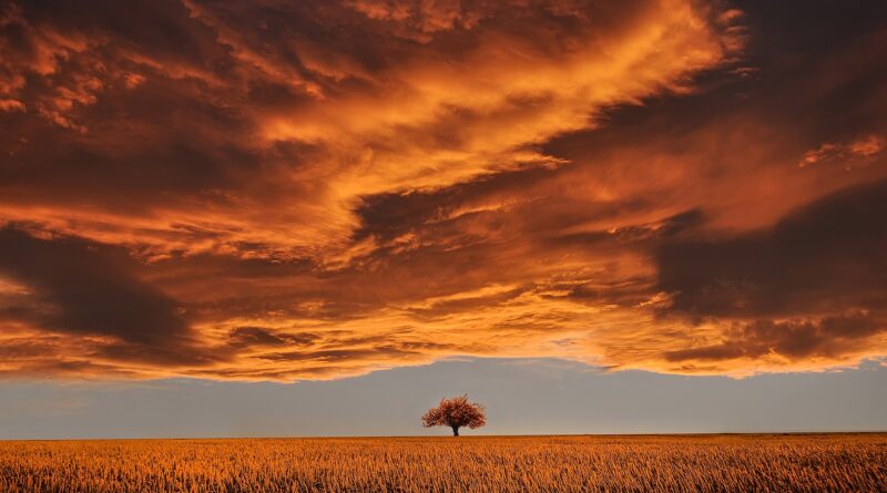 Aleksandra Mihajlović: Život između zabranjene ljubavi, izazova i oprosta