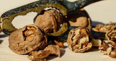 Doktori otkrivaju šta se dešava u organizmu kada redovno jedete orahe