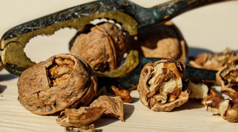 Doktori otkrivaju šta se dešava u organizmu kada redovno jedete orahe