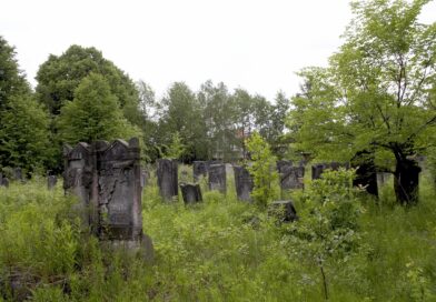 Zelena humka usred zime: neobična priča sa groblja koja je otkrila snagu roditeljske ljubavi