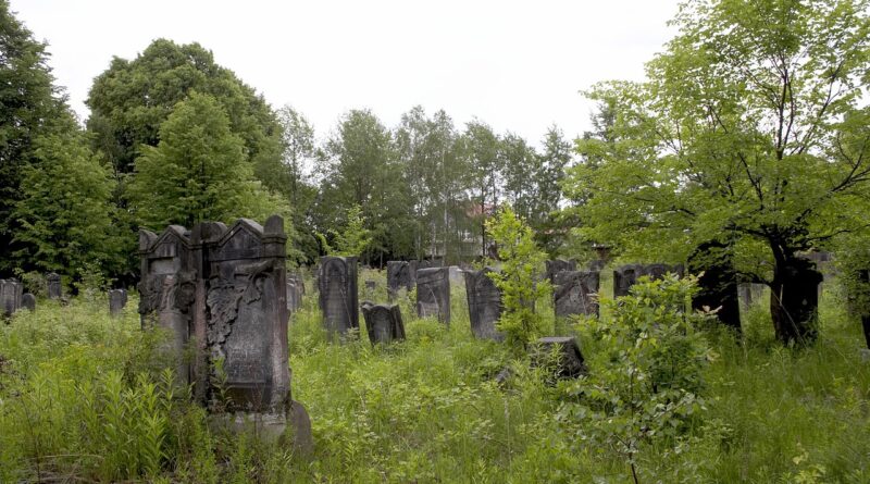Zelena humka usred zime: neobična priča sa groblja koja je otkrila snagu roditeljske ljubavi