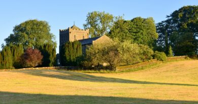 Iz očaja do ljubavi: Kako jedan očajnički pakt stvara najvoljeniju vojvotkinju