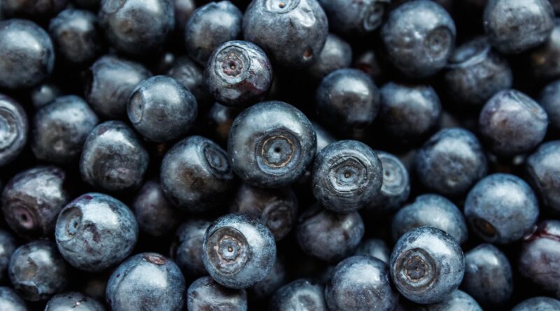 Kako uzgajati borovnice kod kuće: Provjereni savjeti za bogat i zdrav rod