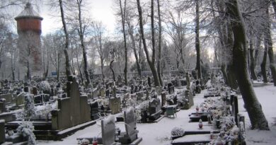 Istina na groblju: trenutak kada se iluzija raspada i počinje novi život