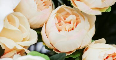 Svadbena šala koja je prerasla u ozbiljan incident: lekcija o granicama, poštovanju i ličnom dostojanstvu