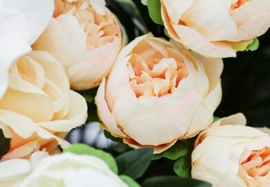 Svadbena šala koja je prerasla u ozbiljan incident: lekcija o granicama, poštovanju i ličnom dostojanstvu